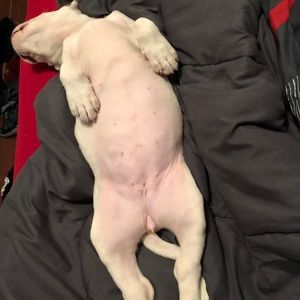 Meet your Posher, Joshua